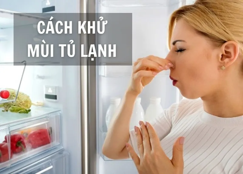 Cách khử mùi tủ lạnh
